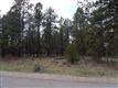 408  Bear Cub Drive , Ridgway, CO