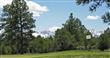 1573  Marmot Drive , Ridgway, CO