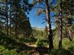 0  M-44 , Placerville, CO
