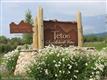 308 Teton Saddleback Vistas Drive, Driggs, ID 83422