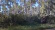  North Forest, Star Valley Ranch, WY 83127
