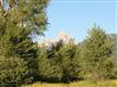1704  Fall Line Dr , Driggs, ID