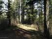 0  Spruce Dr. , Star Valley Ranch, WY