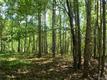  Us 321 Highway, Misc., NC 28605