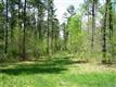 Creedmoor