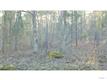  Ellis Road, Moncure, NC 27562