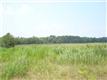 2909 Marks Creek Road, Knightdale, NC 27545
