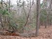 0  Woodbrook Way , Garner, NC