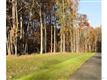32 Suncatcher Court, Pittsboro, NC 27312