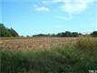 1261 White Smith Road, Pittsboro, NC 27312