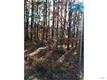 1620 New Hill Olive Chapel Road, Apex, NC 27502