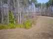1708  Colombard Court , Wake Forest, NC