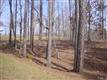 7604 Arbor Mist Lane, Wake Forest, NC 27587