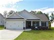 Stem