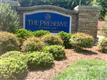 81  Golden Heather None , Chapel Hill, NC