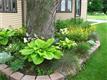 11033 Wabash, Whitehouse, OH 43571