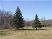 2441 N Crissey , Sylvania, OH