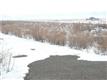 3520  Murd , Sylvania, OH