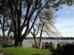 2323  Broadway , Toledo, OH