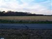 331  Thorntown Road , Middletown, DE