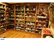 974 Delchester Road, Newtown Square, PA 19073