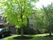 247  Parkview Way 