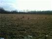 L: 76  Tollgate Road , New Hope, PA