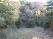 5  Deer Beach Dr. , Golden, MO