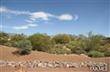 12511 N Copper Spring , Oro Valley, AZ