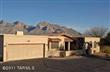 10871 N Guava Drive 