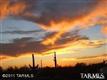 10505 N Derringer Road , Marana, AZ