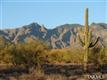 3356 E Camino Boscaje Escondido , Tucson, AZ