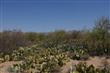   Tangerine Road , Oro Valley, AZ