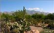 4848 W Camino De Manana , Tucson, AZ