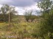 3310 E Rincon View Drive , Corona de Tucson, AZ