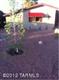 5631 E 4th Street, Tucson, AZ 85711