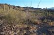 14215 N Gecko Canyon Trail, Oro Valley, AZ 85755