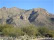 7803 N Ancient Indian Drive, Tucson, AZ 85718