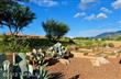 63110 E Harmony Drive , Tucson, AZ