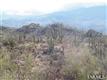 2330 N Avenida Sorgo , Tucson, AZ