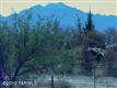 3960 S Camino De La Canoa , Green Valley, AZ