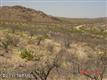 80 X9 Ranch, Vail, AZ 85641