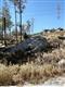 12931 N Guthrie Road N #1, Mt. Lemmon, AZ 85619