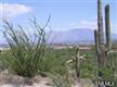 5860 N Abington Road , Tucson, AZ