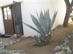 90 W Manzana A , Green Valley, AZ