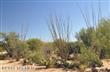 6620 W Maverick Road W, Sahuarita, AZ