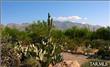 4848 W Camino De Manana , Tucson, AZ