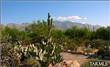 4848 W Camino De Manana , Tucson, AZ