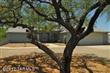 4816 E Wagon Train Road , Catalina, AZ