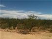 Sahuarita
